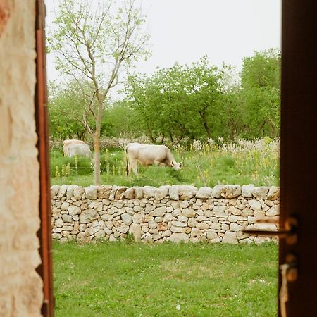 Tenuta Tedone Consolini Βίλα Ruvo di Puglia Εξωτερικό φωτογραφία