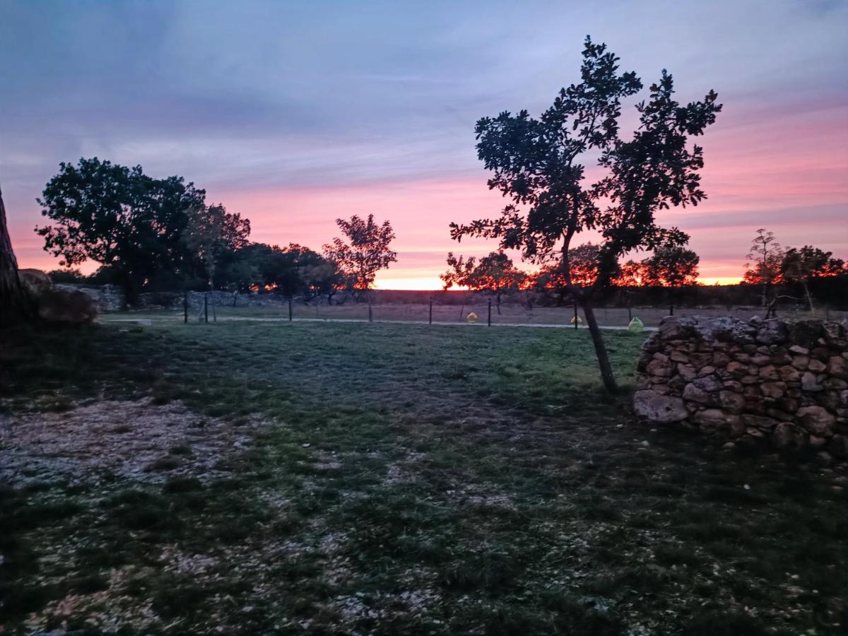 Tenuta Tedone Consolini Βίλα Ruvo di Puglia Εξωτερικό φωτογραφία