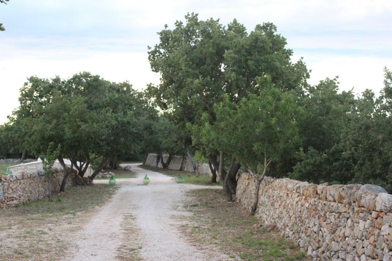 Tenuta Tedone Consolini Βίλα Ruvo di Puglia Εξωτερικό φωτογραφία