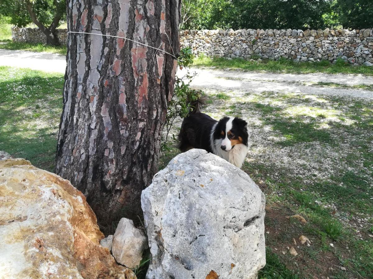 Tenuta Tedone Consolini Βίλα Ruvo di Puglia Εξωτερικό φωτογραφία